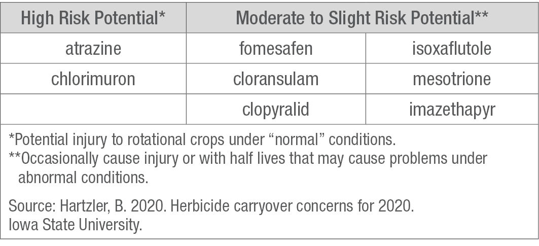 Common herbicide active ingredients table.
